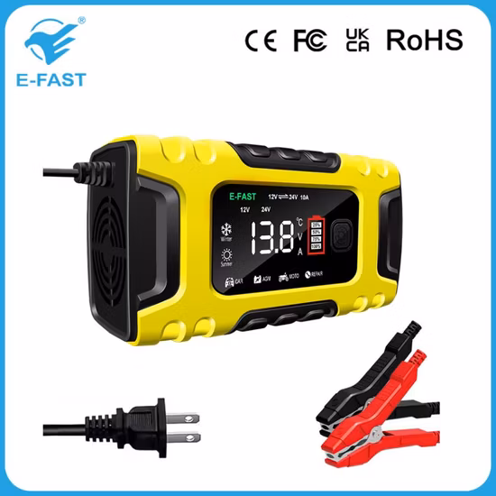 ABS 케이스가 포함된 지능형 12V 24V AGM Efb 납축 배터리 충전기